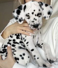 a woman is holding a dalmatian puppy in her arms while wearing a white hoodie