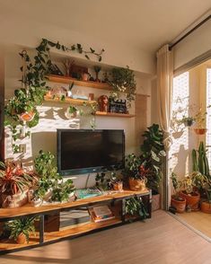 a living room filled with lots of potted plants next to a flat screen tv