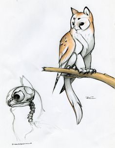 an owl sitting on top of a tree branch next to a bird perched on it's head