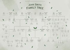 the john smith family tree is shown in green and white watercolor on a light gray background