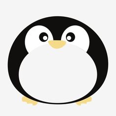 a black and white penguin with big eyes