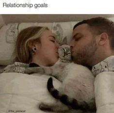 a man and woman laying in bed with a cat