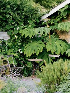 a chair and table sitting in the middle of a garden with lots of plants around it