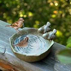 two little birds sitting on top of a bowl filled with water and drinking from it