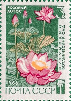 a stamp with pink flowers on it and green leaves in the middle, is shown