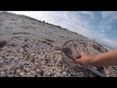 a person holding a knife on top of a beach covered in rocks and pebbles next to the ocean