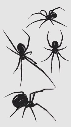 four black widow spider silhouettes on a white background