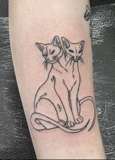 a couple of cats sitting on top of each other's legs with music notes in the background