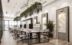 an office with plants hanging from the ceiling and desks in front of windows on either side