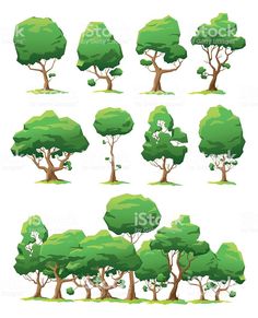 various types of trees and shrubs on a white background, set of cartoon style illustrations