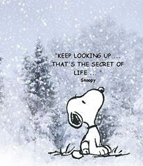 a cartoon dog sitting in the snow with a caption that reads, keep looking up that's the secret of life