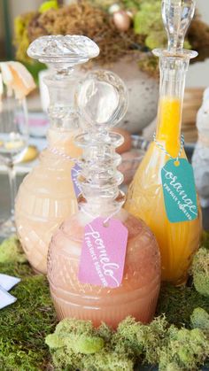 three vases with labels on them sitting on moss