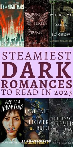 the cover for steamfest dark romances to read in 2013, including books from various authors