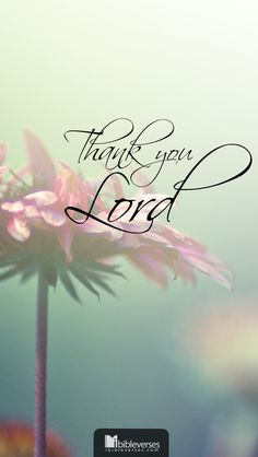 a pink flower with the words thank you lord