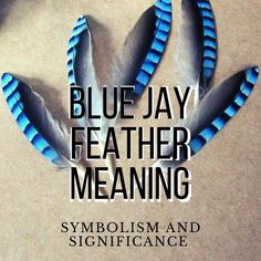 blue jay feather meaning Blue Jay Feather Meaning, Blue Jay Meaning, Blue Jay Tattoo, Bird Meaning, Small Feather Tattoo, Blue Jay Feather