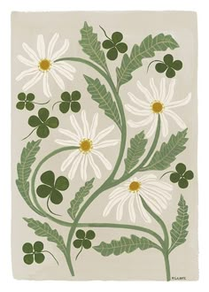 a painting of white daisies and green leaves with clovers on the stems, against a gray background