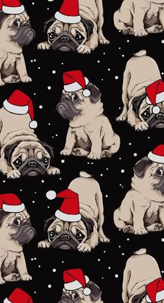 a pug dog wearing a santa hat and glasses