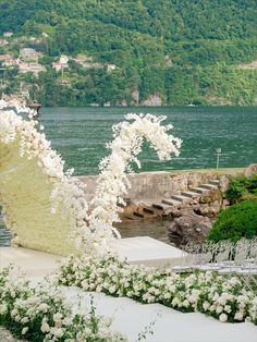 white flowers are growing on the side of a body of water