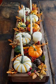 an assortment of pumpkins and gourds are arranged on a long wooden table