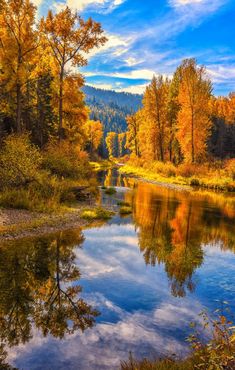 a river surrounded by trees with autumn foliage on the bank and clouds in the sky