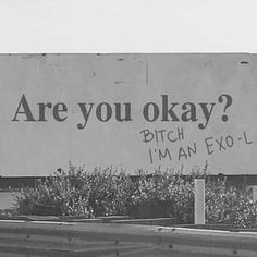 an advertisement on the side of a building that says, are you okay? pitch i'm an exo - l