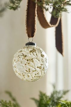 a glass ball ornament hanging from a christmas tree with brown ribbon around it