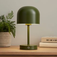 a green lamp sitting on top of a wooden table next to books and a potted plant