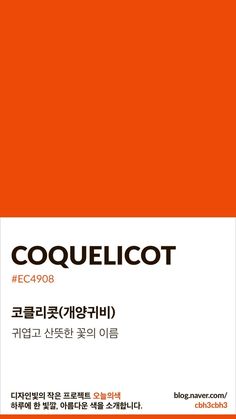 an orange book cover with the words coqueticot in english and chinese on it