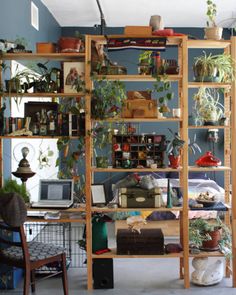 a room filled with lots of potted plants and bookshelves on top of shelves