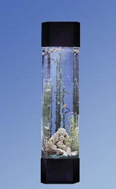 an aquarium with rocks and plants in it on the side of a tall pole against a blue sky