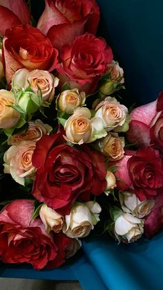 a bouquet of red and white roses on a blue cloth