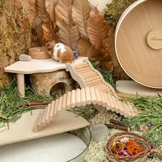 a wooden birdhouse with a hamster in it's nest