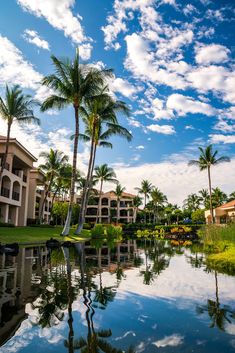 palm trees are reflected in the still water of a pond near an apartment complex on a sunny day