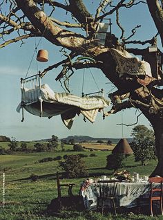 a tree with clothes hanging from it's branches in the middle of a field