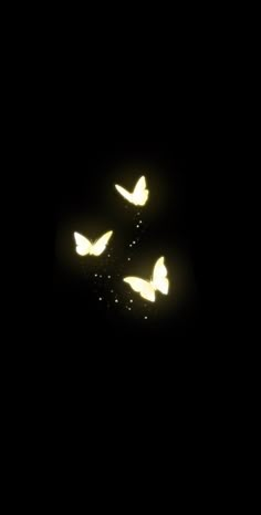 three white birds flying in the night sky with light on their wings and dark background