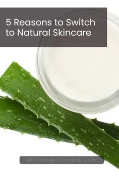 Aloe vera cream with fresh aloe leaves highlights the effectiveness of natural skincare products. Explore 5 reasons why switching to natural ingredients can improve your skincare routine.