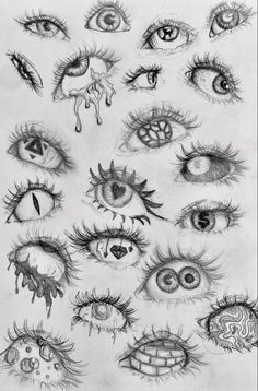 an image of many different types of eyes