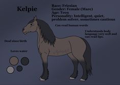 a horse is shown with its name and description