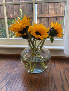 some yellow sunflowers in a clear vase on a wooden table near a window