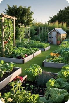 a garden filled with lots of different types of vegetables and plants growing in the ground