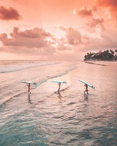 three surfers carrying their surfboards into the ocean at sunset, with palm trees in the background