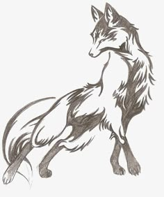 a drawing of a wolf standing on its hind legs