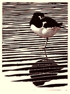 a black and white bird standing on top of a beach next to the ocean water