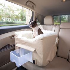 a dog sitting in the back seat of a car with a blanket on it's back