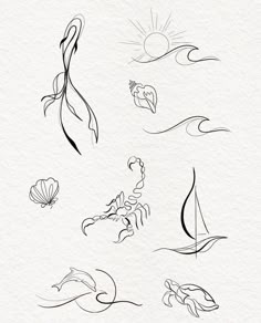 an ink drawing of different types of sea animals