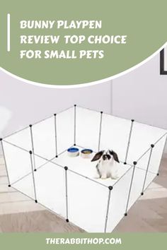 bunny playpen review top choice for small pets