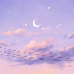 two birds sitting on power lines under the moon and stars in the night sky with clouds