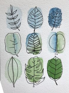 watercolor and ink drawings of different types of leaves on white paper, with green and blue colors