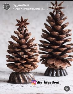 two pine cones sitting on top of each other in front of a white background with the words diy kreativni