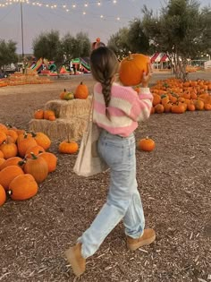 Pink Stripe Knit O-neck Elegant Women Pullover Lantern Sleeve Ribbed Cuff Cute Soft Warm Sweater Autumn Female Chic Casual Tops Pumpkin Patch, Pumpkins, Walking